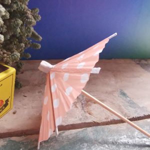 Paper Umbrella Mix