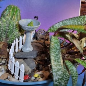 A Fairy's Hiding Place